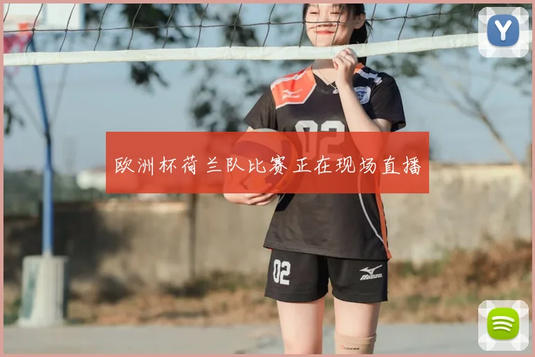 欧洲杯荷兰队比赛正在现场直播
