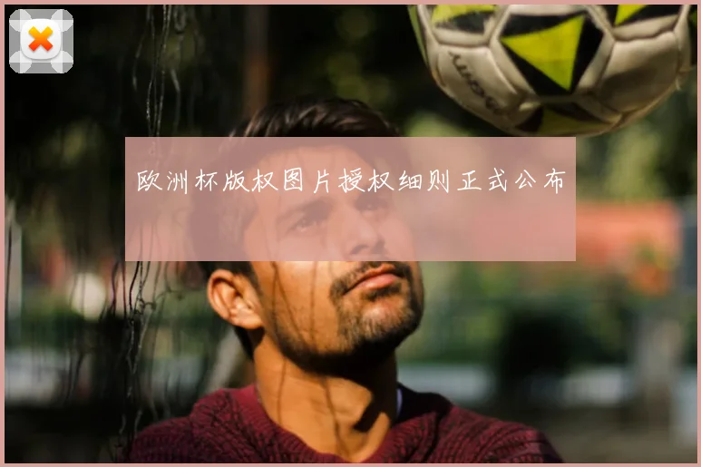 欧洲杯版权图片授权细则正式公布