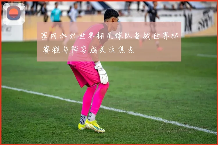 塞内加尔世界杯足球队备战世界杯 赛程与阵容成关注焦点