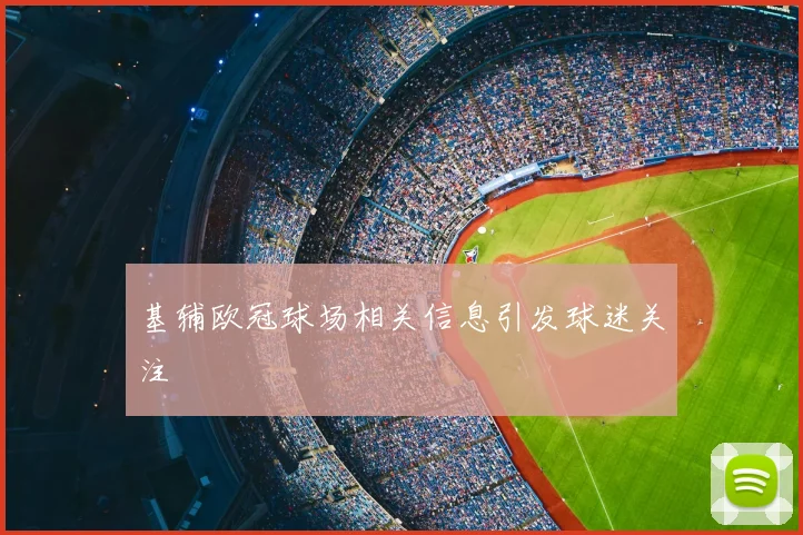 基辅欧冠球场相关信息引发球迷关注
