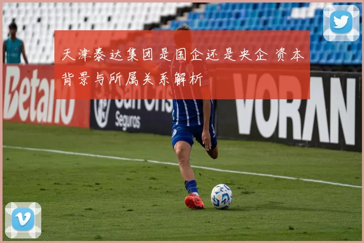 天津泰达集团是国企还是央企 资本背景与所属关系解析