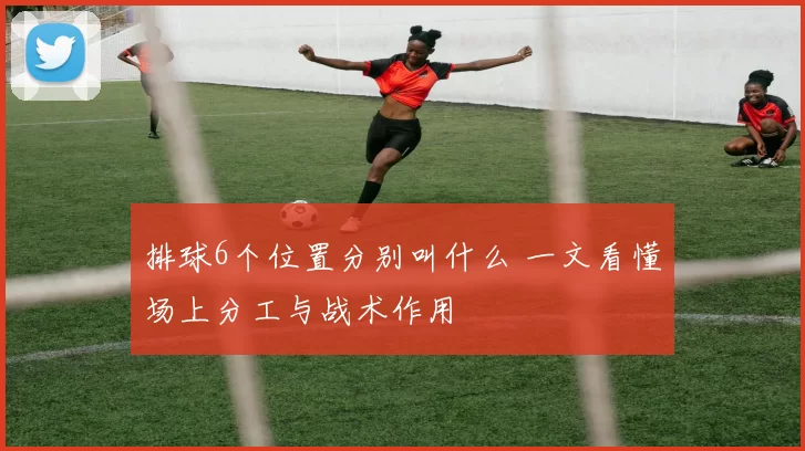 排球6个位置分别叫什么 一文看懂场上分工与战术作用
