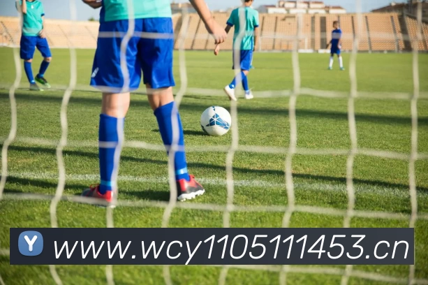 top1 - 篮球足球世界杯体育赛事直播平台 - top1sports发展历程